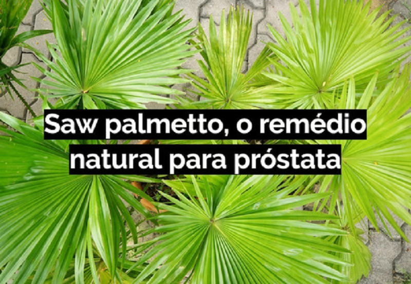 Saw Palmetto 160Mg 60 cápsulas 